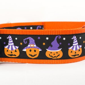 Pumpkin Dog Collar Witch Dog Collar 2 inch wide Fall dog collar halloween dog collars Autumn dog collar Pumpkins dog collar image 3