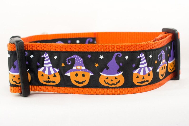 Pumpkin Dog Collar Witch Dog Collar 2 inch wide Fall dog collar halloween dog collars Autumn dog collar Pumpkins dog collar image 3