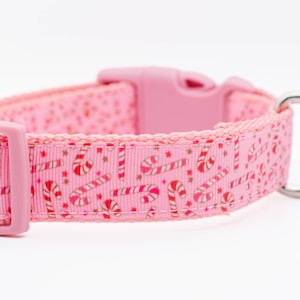May include: Pink dog collar with a candy cane and star pattern.