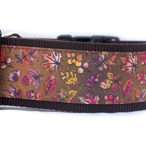 Brown Fall Leaves Dog Collar - 2 inch wide - buckle or martingale collar - halloween dog collars - thanksgiving dog collar - autumn big