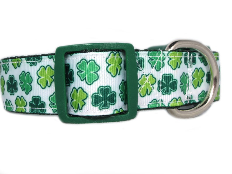 Lucky Clover Dog Collar 1 inch wide buckle or martingale Etsy