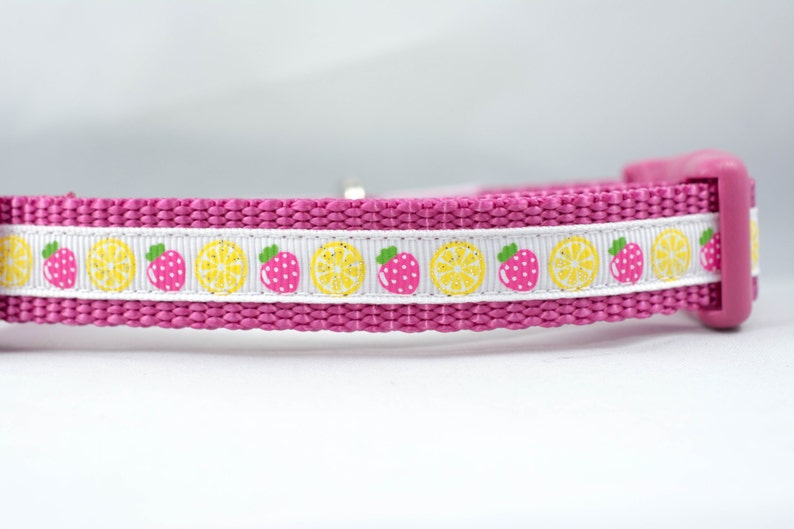 58 or 34 inch wide pink raspberry lemon glitter sparkle spring Strawberry Lemonade Dog Collar summer small dog yellow white