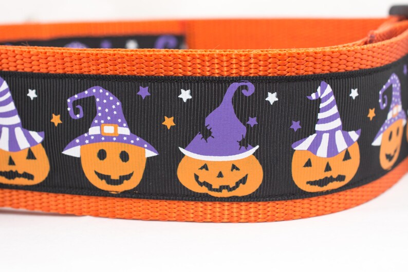 Pumpkin Dog Collar Witch Dog Collar 2 inch wide Fall dog collar halloween dog collars Autumn dog collar Pumpkins dog collar image 4