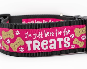 Pink Treats Galore Dog Collar - funny Dog Collar - 2 inch wide Dog Collar - buckle or martingale collar - cute dog collar - XL dog - glitter