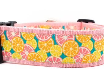 Citrus Splash Dog Collar - Summer Dog Collar - 2 inch wide Dog Collar - buckle or martingale collar - beach dog collar - large dog collar