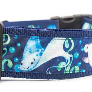 Rays and Sharks Dog Collar - 2 inch wide - buckle or martingale collar - summer dog collars - nautical dog collar - beach dog - ocean
