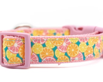 Citrus Splash Dog Collar - Summer Dog Collar - 1 inch wide Dog Collar - buckle or martingale collar - beach dog collar - large dog collar