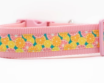 Citrus Splash Dog Collar - Summer Dog Collar - 1.5 inch wide Dog Collar - buckle or martingale collar - beach dog collar - large dog collar