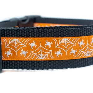 May include: Black dog collar with an orange band featuring white spiderwebs and spiders. The collar has a black plastic buckle and is designed for Halloween. The collar is made of durable nylon material.