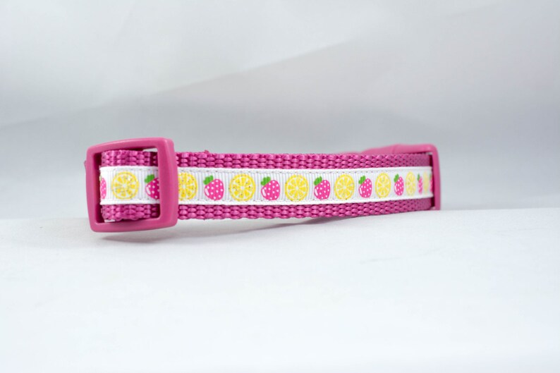 58 or 34 inch wide pink raspberry lemon glitter sparkle spring Strawberry Lemonade Dog Collar summer small dog yellow white