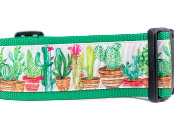 Potted Western Cactus Dog Collar - 2 inch wide - buckle or martingale collar - southwestern dog collars - dog collar - boy dog collar