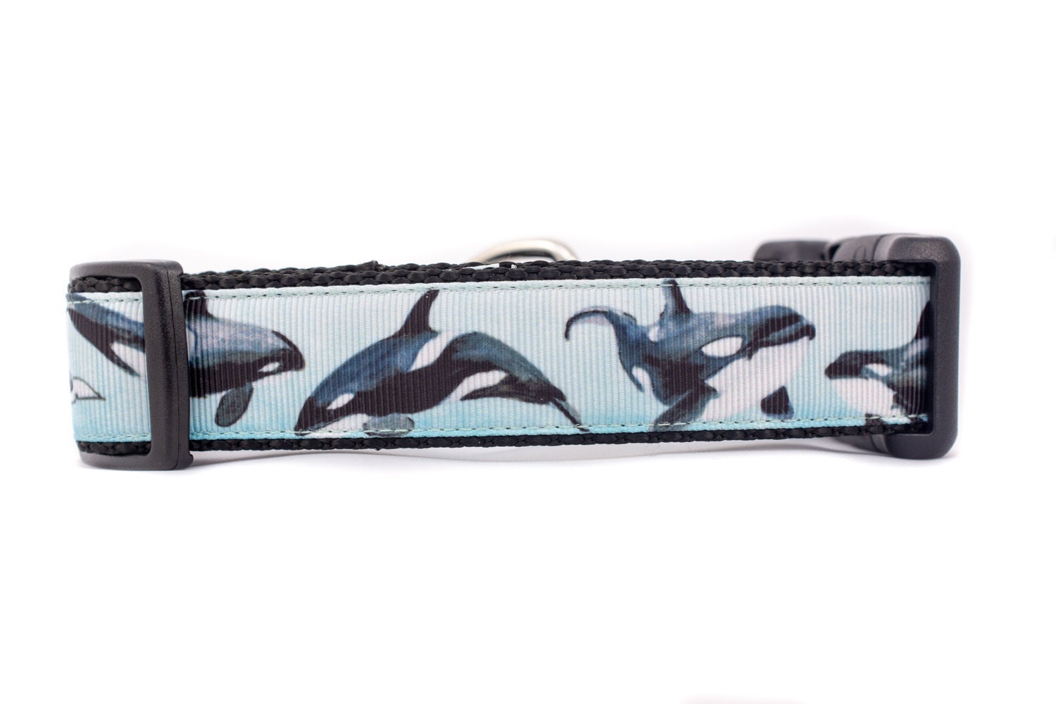 Killer Whale Dog Collar 1 inch or 1.5 inch wide Nautical 