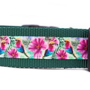 Tropical Hummingbird Dog Collar - 1.5 inch wide - buckle or martingale collar - nature - hawaiian - floral dog collar - hibiscus - birds