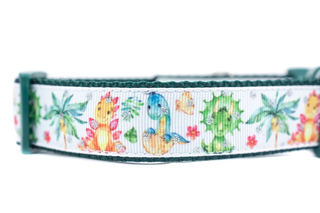 Baby Dinosaur Dog Collar 1 Inch Wide Buckle or Martingale Collar Dino