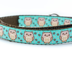 Aqua Owl Dog Collar - 5/8 or 3/4 inch wide - buckle or martingale collar - tribal dog collar - bohemian dog collar - fall collar - woodland