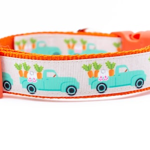 May include: A white dog collar with an orange trim and a repeating pattern of teal blue trucks carrying bunnies and carrots.