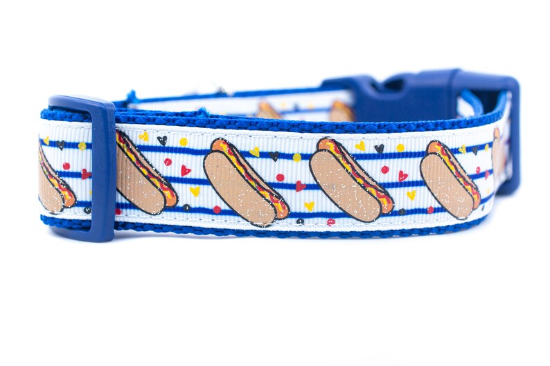 Hotdog Dog Collar 1 inch wide buckle or martingale collar Etsy