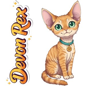 Könnte beinhalten: Cartoon-Illustration einer rot getigerten Katze mit grünen Augen, die ein türkisfarbenes Halsband mit einem Pfotenabdruck-Anhänger trägt. Der Text "Devon Rex" steht vertikal in einer stilisierten orange-gelben Schrift mit Schatteneffekt.