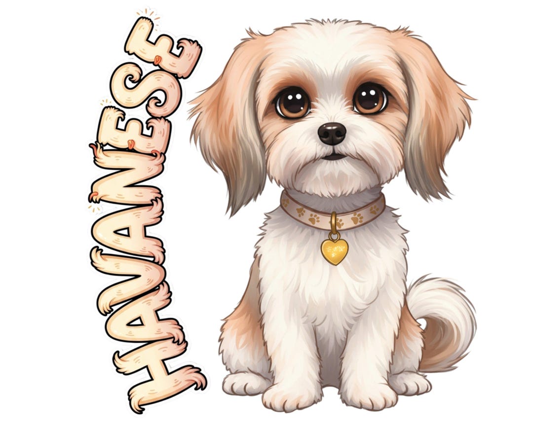 Havapoo Sticker Havanese Sticker and Magnet - Cheerful Charmer Pawkins™ – Companion Dog ...