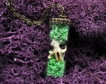 Bone and nature in glass vial necklace. Vessel jewelry. Skull necklace. Nature jewelry. Small oddities. Bone jewelry. Oddities gift.