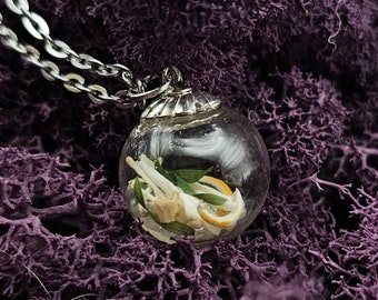 Bone and nature in glass bubble necklace. Vessel jewelry. Skull necklace. Nature jewelry. Small oddities. Bone jewelry. Oddities gift.