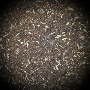 May include: A close-up shot of dark brown soil, interspersed with small pieces of white and light brown wood chips. The soil has a rich, fertile appearance, with a slightly textured surface. The image is well-lit, showing the details of the organic matter.