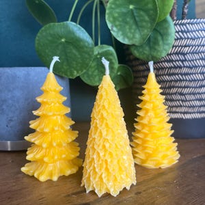 Handmade Organic Unscented Beeswax Tree Candle