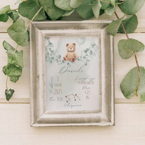 Lion Baby Birth Picture