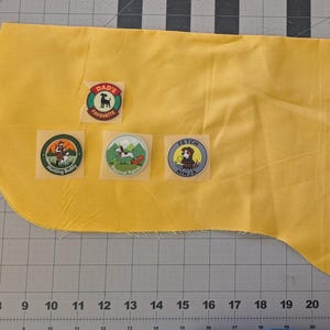 Handmade Dog Scout Badge Vest: Cotton Pet Costume, XS-XL