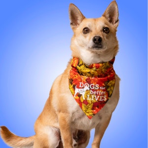 Dogs for Better Lives Bandana-rama Subscription Fundraiser
