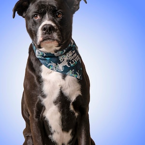 May include: A black and white dog with short fur wearing a dark teal triangular bandana. The bandana features a repeating pattern of bicycles and the white text "DOGS for better LIVES" printed clearly across the front of the fabric.