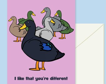 Mallard Duck Greeting Card: I Like that You're Different, Compliment & Encouragement Card