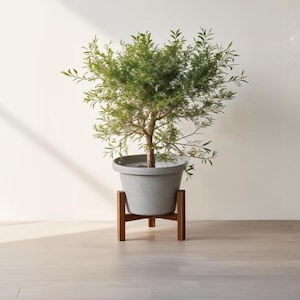 DIY Wooden Plant and Pot Stand Plan: 4 available Pot Sizes, Adjustable Wooden Stand, Indoor & Patio Woodworking plans, Digital Download