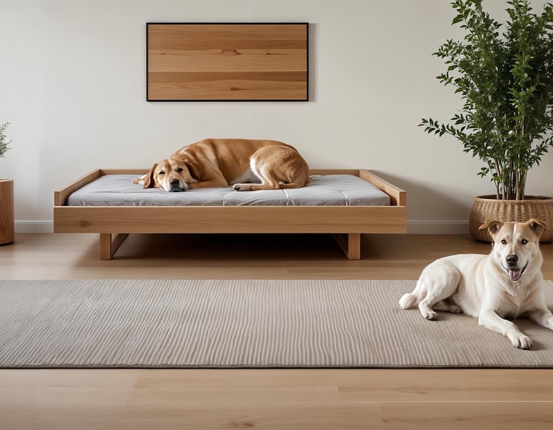 A modern, sturdy wooden dog bed designed for large dogs, featuring a 44" x 34" mattress space. The frame has a clean, minimalist design with a smooth finish, making it a stylish and functional pet bed for any home