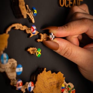 Flag Push Pins: Travel Map Accessories for World & US Maps