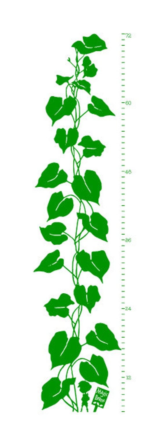 Jack And The Beanstalk Height Chart