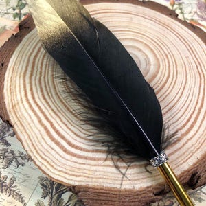 May include: A black and gold feather pen with a gold metal nib and a decorative band. The pen is resting on a wooden surface.