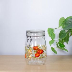 Vintage French Glass Bail Top Canister Jar Mushroom Fall Autumnal Tomato Veggie Pattern Made in France Arcoroc Kitchen Storage Cottagecore