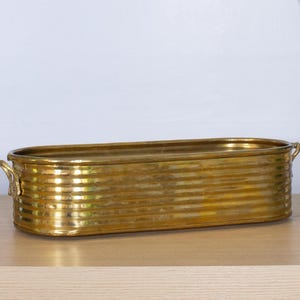May include: An elongated oval brass planter featuring a ribbed, horizontal texture along its exterior walls. The vessel includes two small, decorative metal handles attached to each of the shorter ends, providing a functional grip.