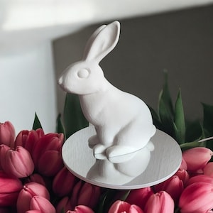 Könnte beinhalten: Eine weiße Keramik-Hasenfigur sitzt auf einer verspiegelten Oberfläche, umgeben von rosa Tulpen. Der Hase hat lange Ohren und ist nach links positioniert. Die Tulpen sind leuchtend rosa und erzeugen eine frühlingshafte Ästhetik.