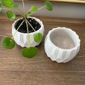 May include: Two white, geometric-patterned concrete planters. One contains a small green plant with round leaves. The other planter is empty. The planters are on a wooden surface.
