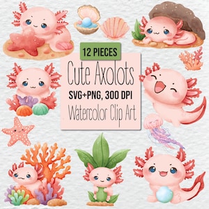 Axolotl SVG & Cute Axolotl PNG Bundle, Kawaii Animal PNG, Axolotl Shirt Design, Axolotl Party Printables, Axolotl print, axolotl party favor