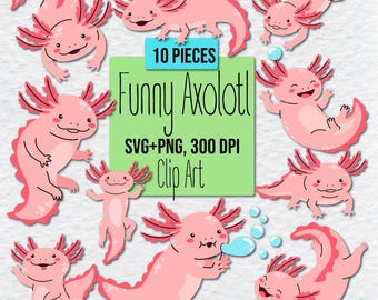 Clipart engraçado de axolote kawaii: pacote de PNG e SVG de axolote, clipart fofo de axolote para camisetas, axolote rosa kawaii