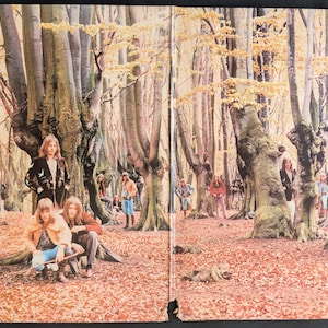 May include: Album cover featuring a group of people in a forest setting with autumn leaves. The album cover is open, revealing a group of people posing among the trees. The album cover has text in the upper left corner.