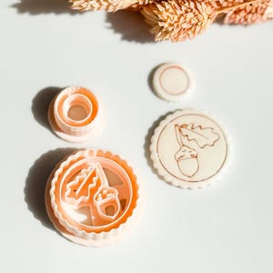 May include: A collection of light orange cookie cutters in various shapes, including a circle, a scalloped circle with an acorn and leaf design, and a ring. The cutters are arranged on a white surface, with dried floral elements in the background.
