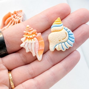 Sea-esta uitstekerset | Conch-vormgereedschap voor polymeerklei