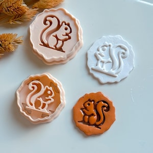 Op de afbeelding: Vier eekhoornvormige koekjessnijders in verschillende kleuren: lichtroze, wit en oranje. De snijders zijn rond met een geschulpte rand en hebben een gedetailleerd eekhoornontwerp. Gedroogde tarwearen staan op de achtergrond.