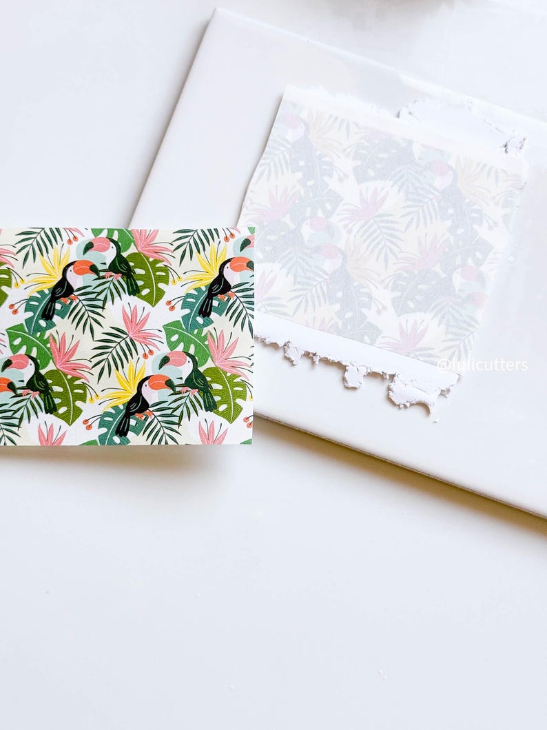 May include: A sheet of white paper with a tropical toucan and leaf pattern printed on it. The paper has been torn around the edges.