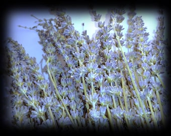 ¡Cuatro (4) manojos de lavanda seca, cuidadosamente sellados para lograr la máxima potencia!