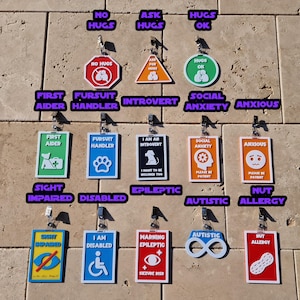 May include: A collection of colorful, rectangular and shaped tags with various text and symbols. The tags include phrases like "No Hugs", "First Aider", "Disabled", and "Nut Allergy". The tags are designed to communicate needs.